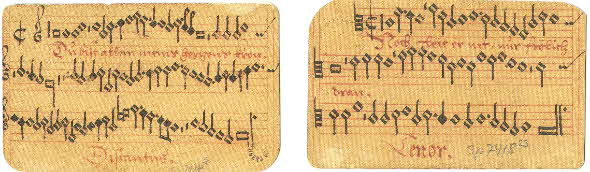 The Flottner Playing Cards (back) - music parts The Flottner Playing Cards (back) - music parts